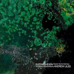 Breed in Me the Darkness: The Second Coming Mixes by Andrew Liles