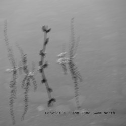 Ann Jane Swam North