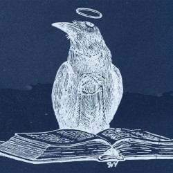 i apologise if you feel something