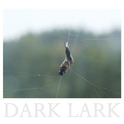 Dark Lark