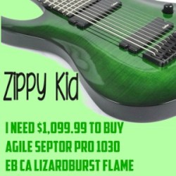 I Need $1,099.99 To Buy Agile Septor Pro 1030 EB CA Lizardburst Flame