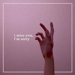 I miss you, I'm sorry