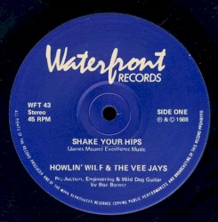Shake Your Hips