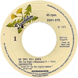 No Tree Will Grow / She Was Naked