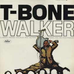 Classic Indigo Vocals and Guitar