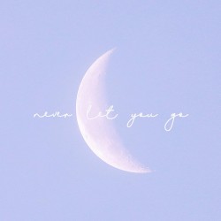 Never Let You Go
