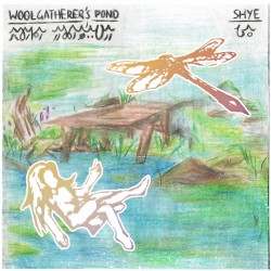 Woolgatherer’s Pond