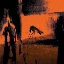 Mosquito / Faster Than The Radio