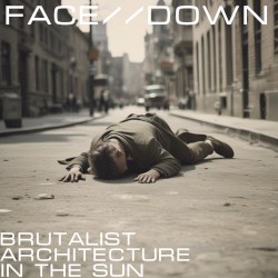 Face//Down