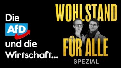 Wohlstand für Alle: Spezial #32, „Wieso die AfD kein Wirtschaftskonzept hat: Interview mit Nils Schniederjann“