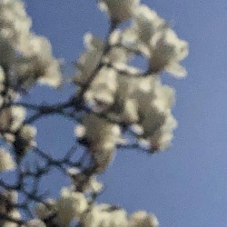 Spring String