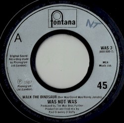 Walk the Dinosaur