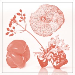 Like a Baby / Tasteful Nudes