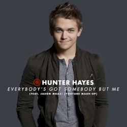 Everybody's Got Somebody but Me [Mashup]