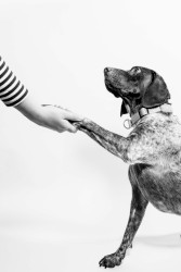 Playing Your Best Role