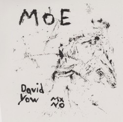 David Yow