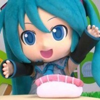 She's Mikudayo!