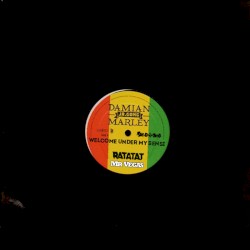 Welcome Under My Sensi (Damian Marley vs. Mr Vegas vs. Ratatat)