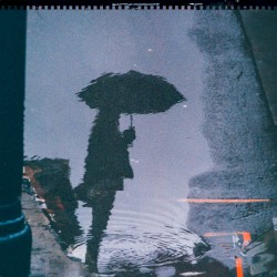 Shelter From the Sun