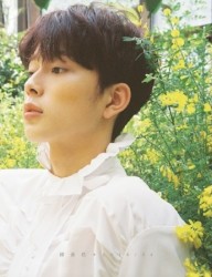 봄, 선호