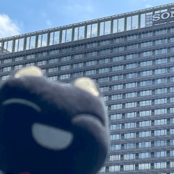 I love the color magenta