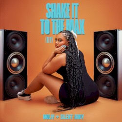 Shake It to the Max (FLY)