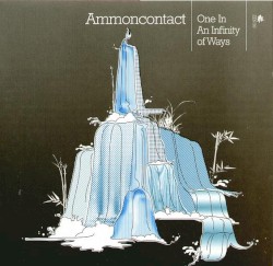 One in an Infinity of Ways