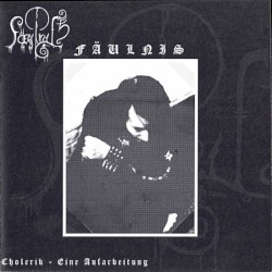 Cholerik - Eine Aufarbeitung