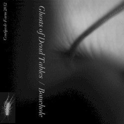 Ghosts of Dead Tables/Bonehole split