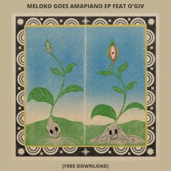 Meloko (Goes Amapiano)