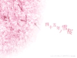 四十五年ノ雪桜