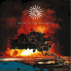 Blind to the Beautiful