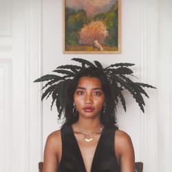 Dark Days, Bright Nights