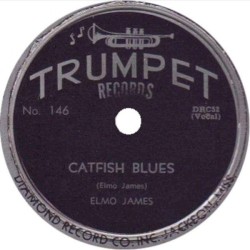 Catfish Blues / Dust My Broom