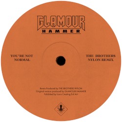 You’re Not Normal (The Brothers Nylon remix)