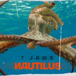 Nautilus