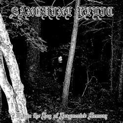 Within the Fog of Fragmented Memory