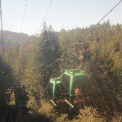 Trees of Mystery (Klamath, CA)