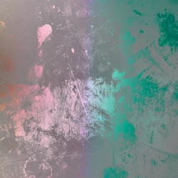 la ruée sur la viande de canard