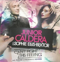 Can’t Fight This Feeling