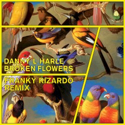 Broken Flowers (Franky Rizardo remix)