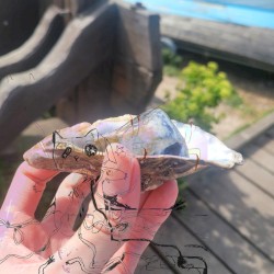 oh 'tistic galvanistic one!