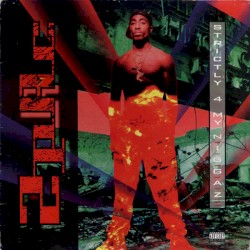 Strictly 4 My N.I.G.G.A.Z…