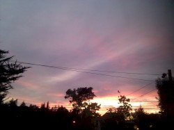 Season 02 Episode 03