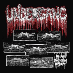 De syv stadier af fordærv