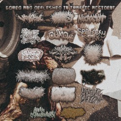 Gored and Defleshed in Traffic Accident