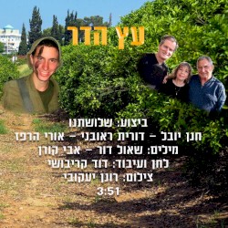 עץ הדר