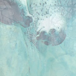 everything feels wrong