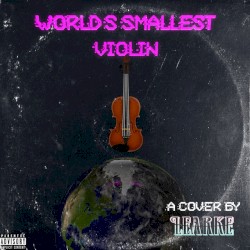 World's Smallest Violin