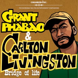 Bridge of Life